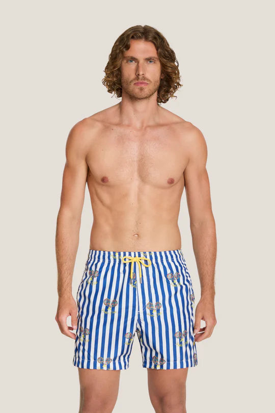 Box mare - 4Giveness - BWSO6325