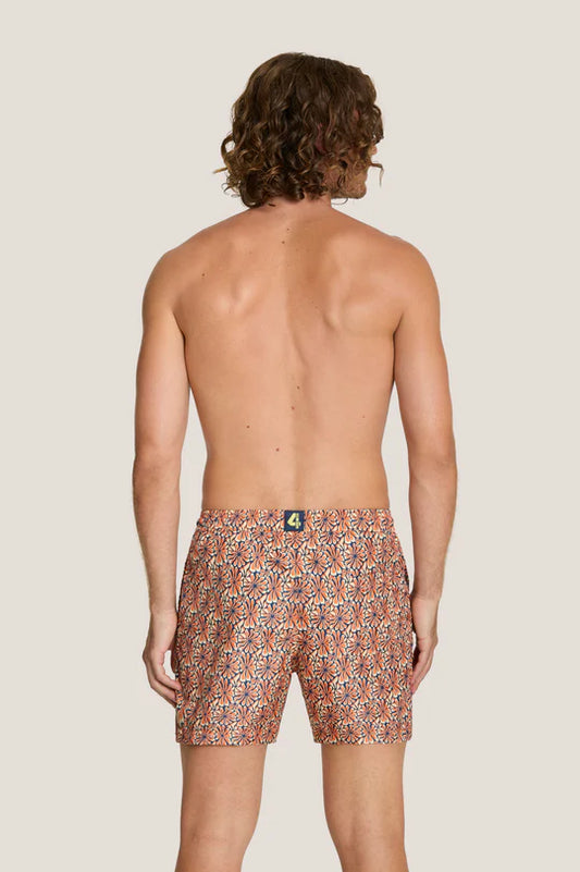 Box mare - 4Giveness - BWSO6314