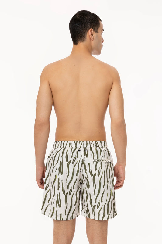 Boxer mare - 4Giveness - FGBM4006