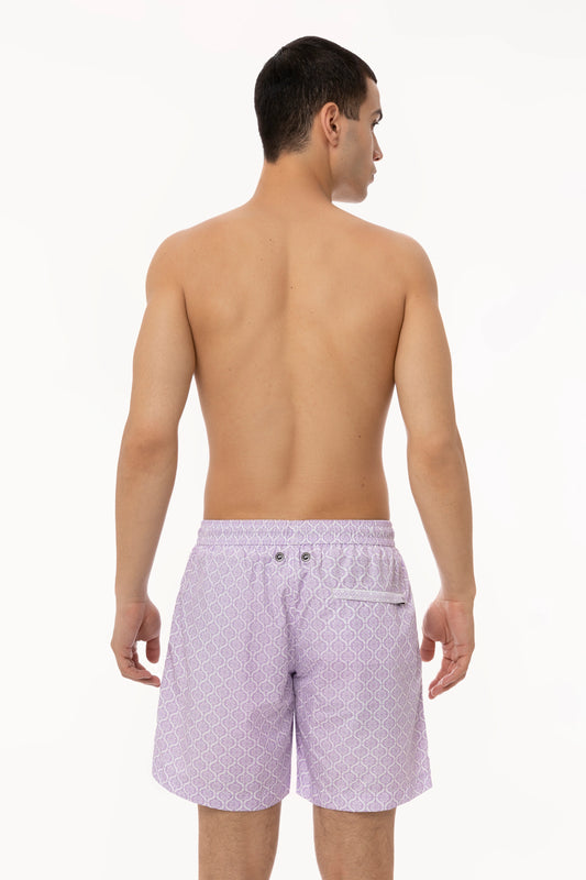 Boxer mare - 4Giveness - FGBM4012