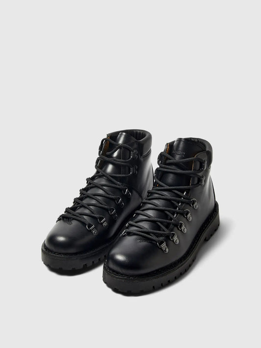 Anfibi - Selected - 16094740 Alfred