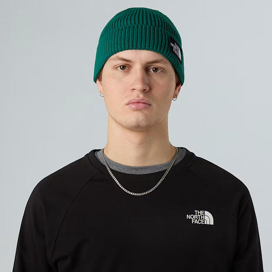 Cappello - The North Face - NF0ACHE logo box