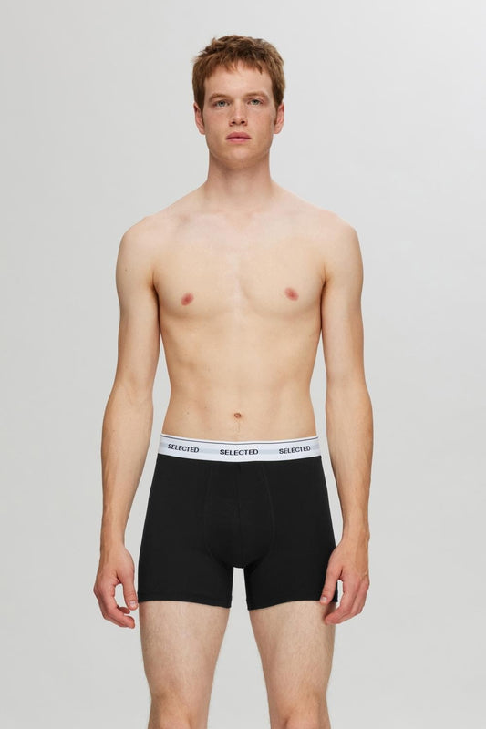 Boxer - Selected - 16094662 Liam