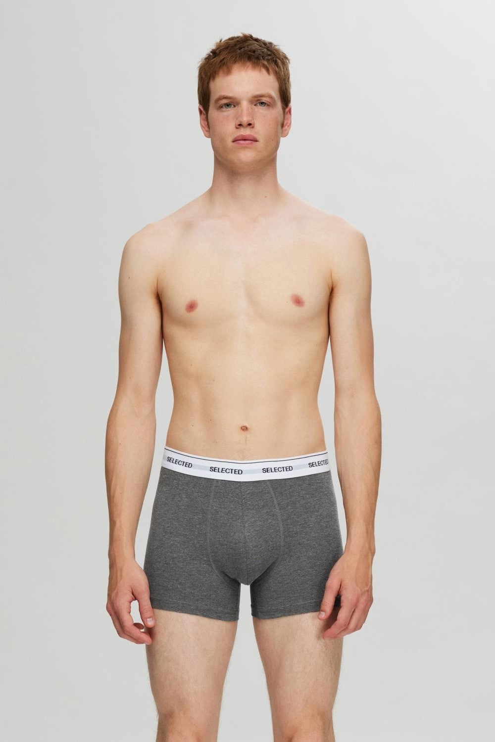 Boxer - Selected - 16094662 Liam