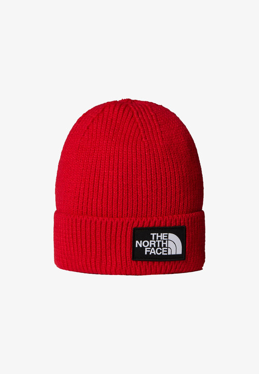 Cappello - The North Face - NF0ACHE logo box