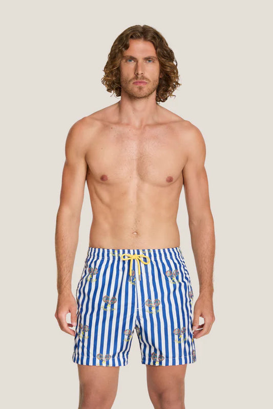 Box mare - 4Giveness - BWSO6325