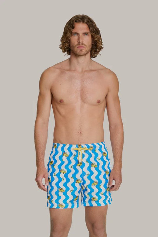 Box mare - 4Giveness - BWSO6324