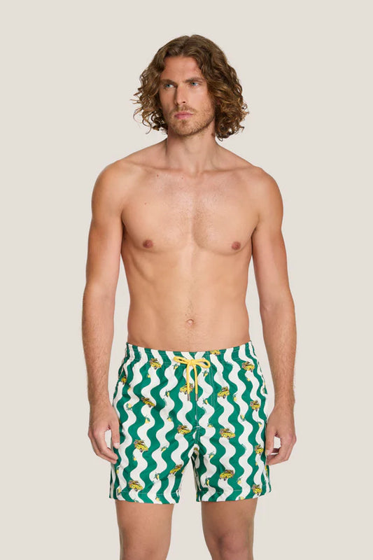 Box mare - 4Giveness - BWSO6324