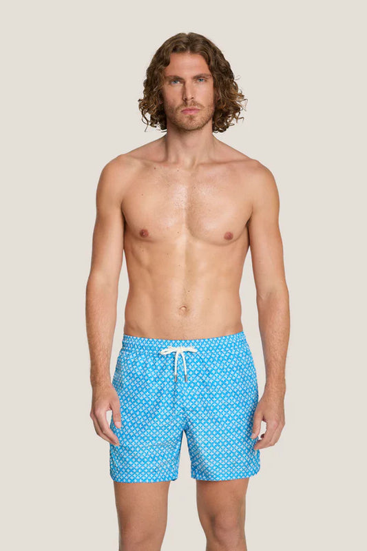 Box mare - 4Giveness - BWSO6318