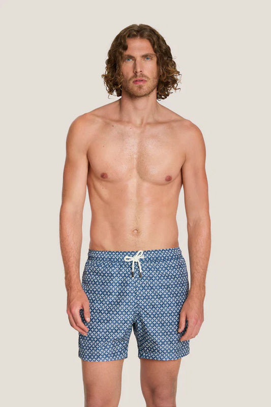 Box mare - 4Giveness - BWSO6318