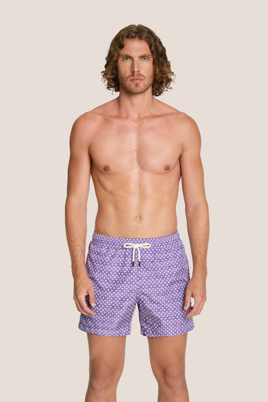 Box mare - 4Giveness - BWSO6318