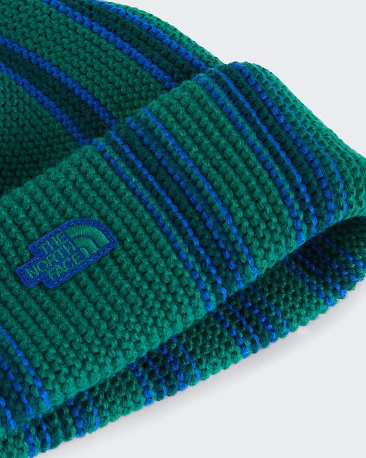 Cappello - The North Face -  NF0A8CHK Explorer