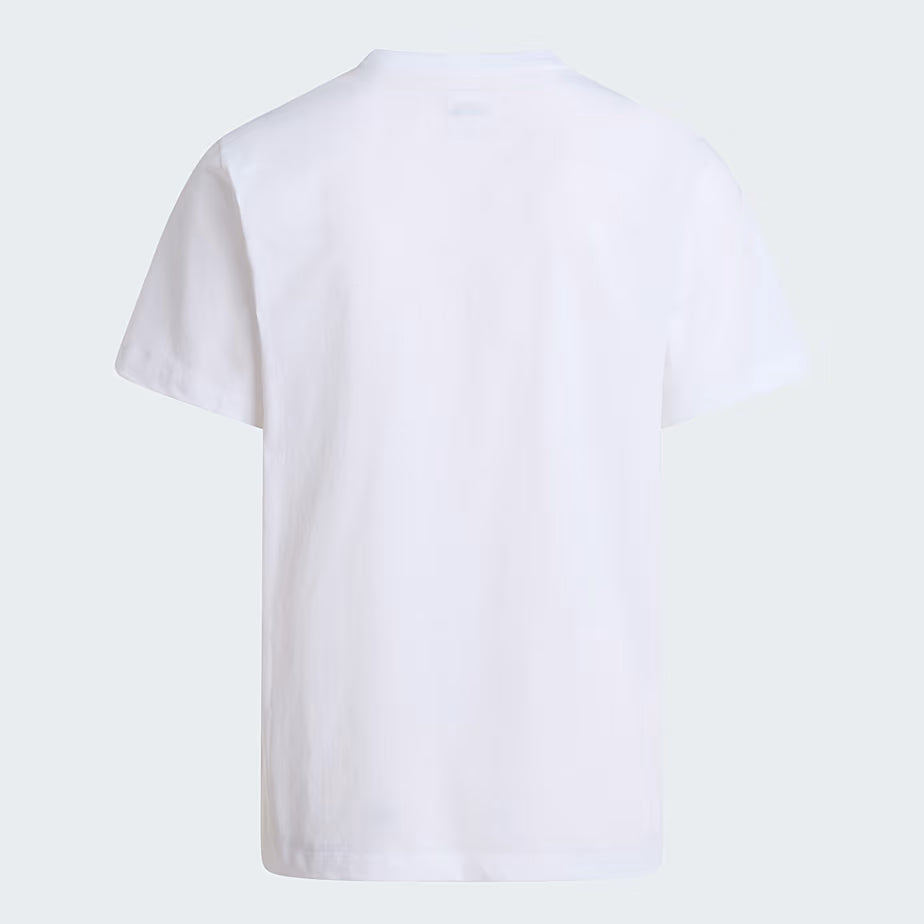 T-Shirt - The North Face -  NF0A8CZ2 Evolution Simple Dome Regular