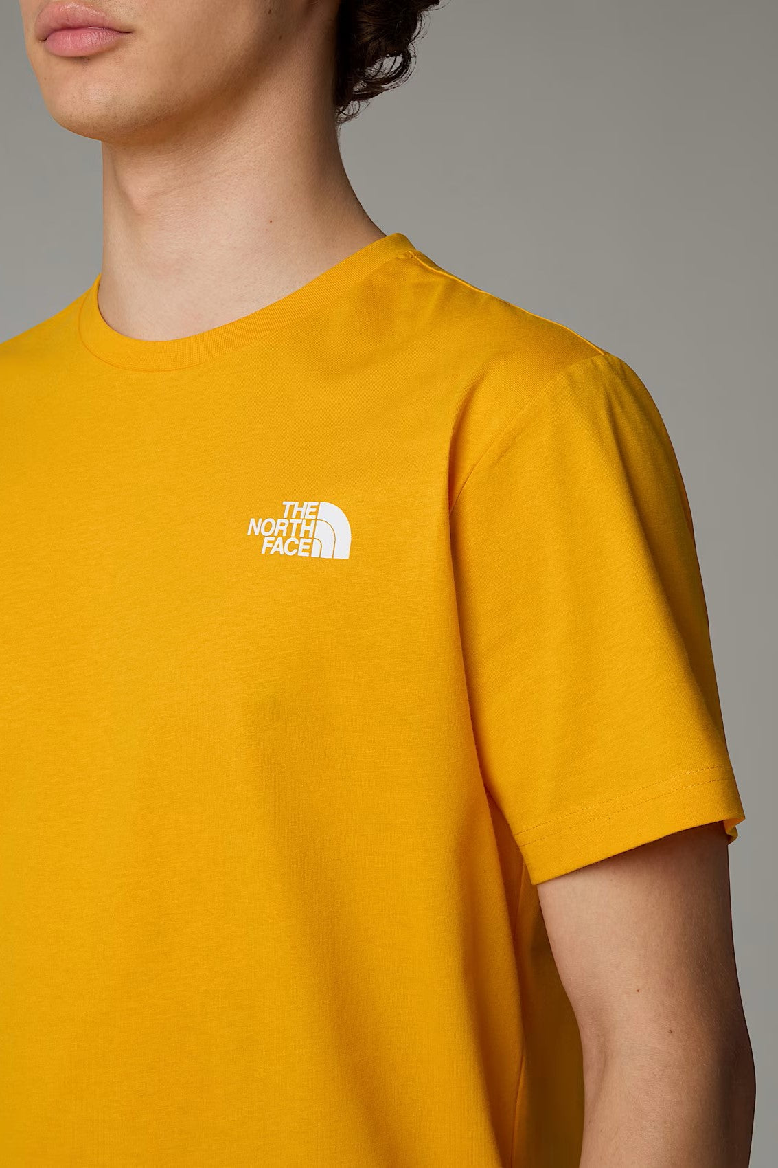 T-SHIRT - THE NORTH FACE - REDBOX