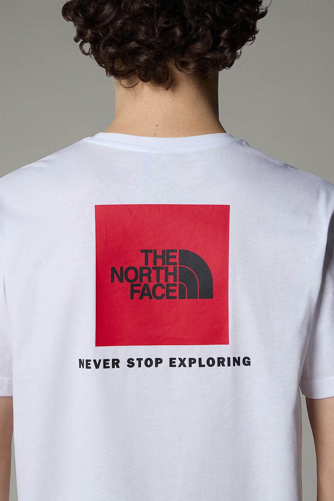 T-SHIRT - THE NORTH FACE - REDBOX