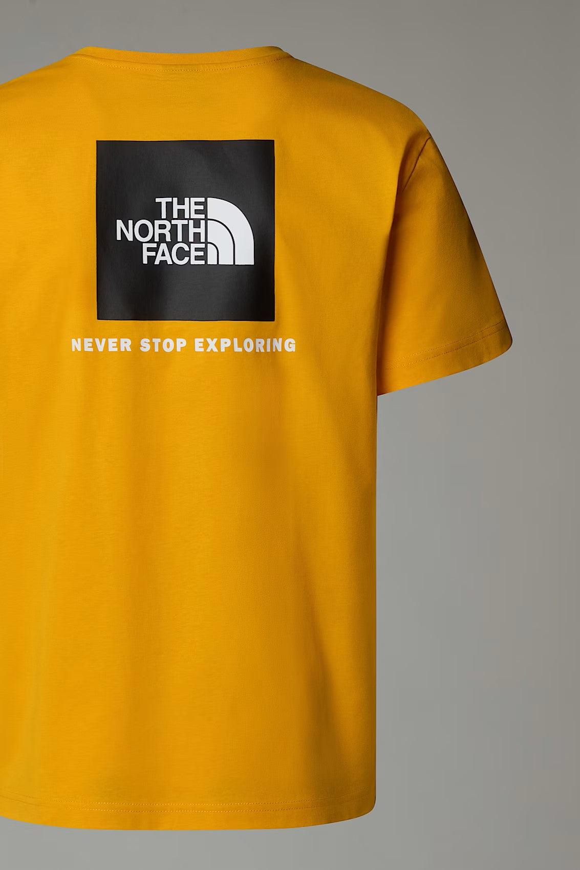 T-SHIRT - THE NORTH FACE - REDBOX