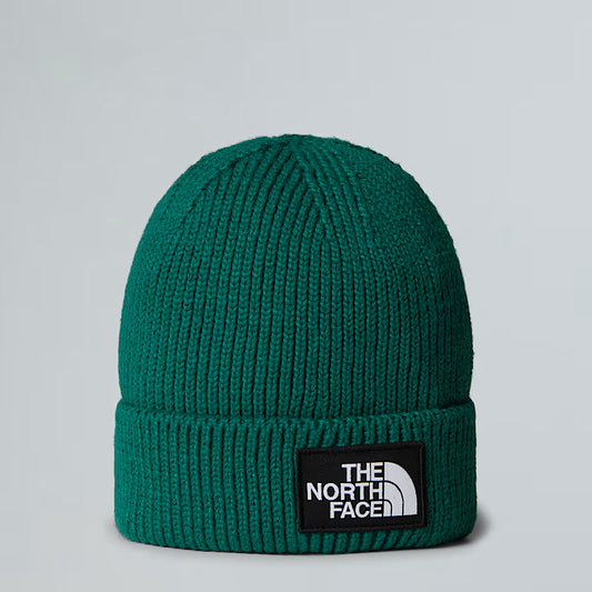 Cappello - The North Face - NF0ACHE logo box