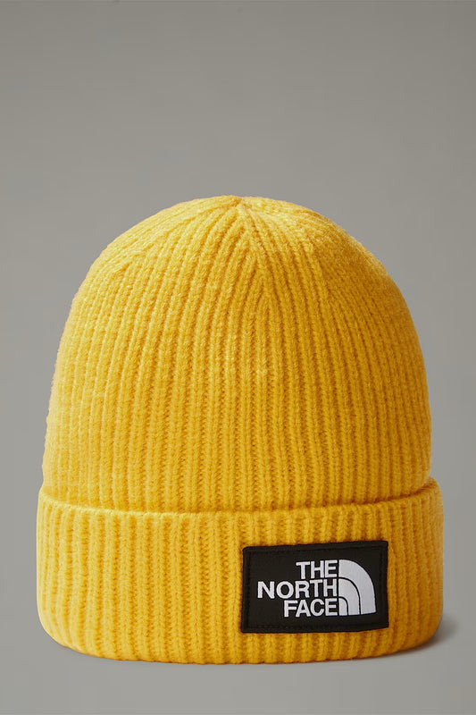 CAPPELLO - THE NORTH FACE - LOGO BOX