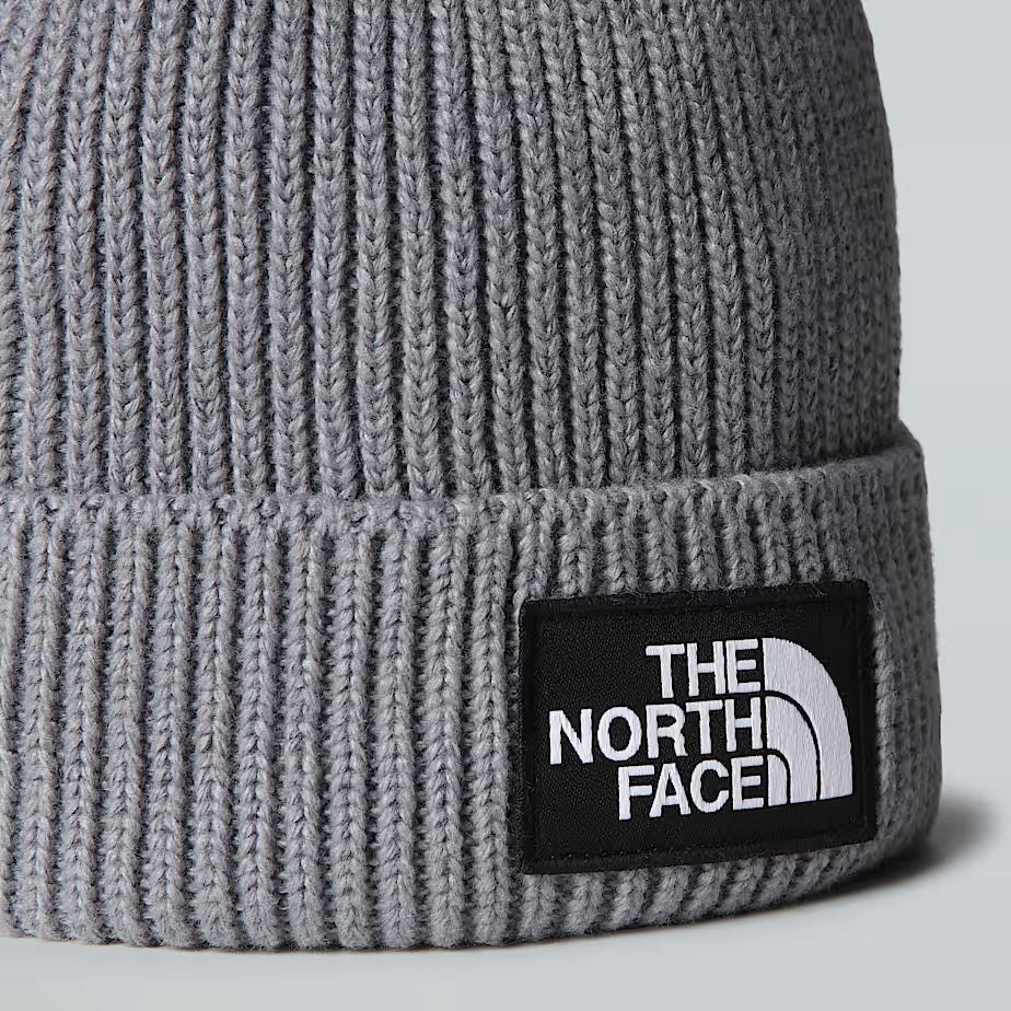 Cappello - The North Face - NF0ACHE logo box