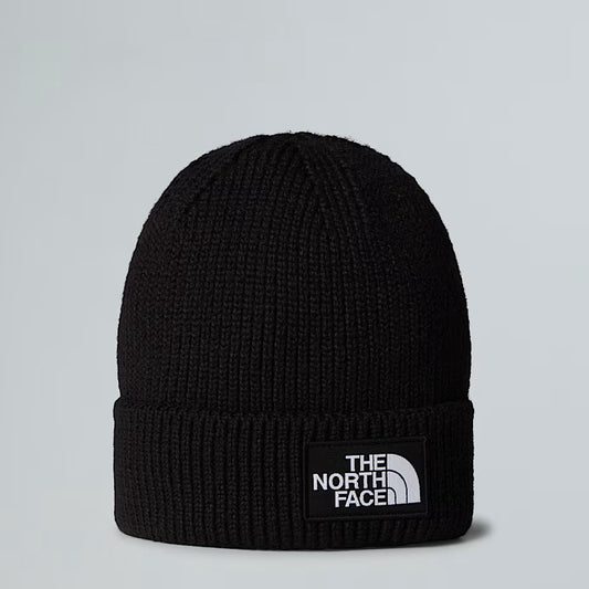 Cappello - The North Face - NF0ACHE logo box