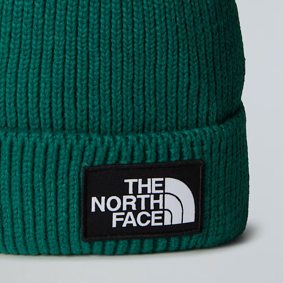 Cappello - The North Face - NF0ACHE logo box