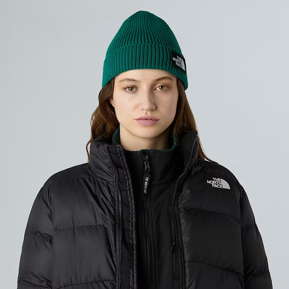 Cappello - The North Face - NF0ACHE logo box