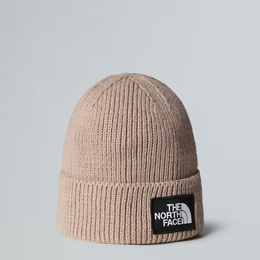 Cappello - The North Face - NF0ACHE logo box