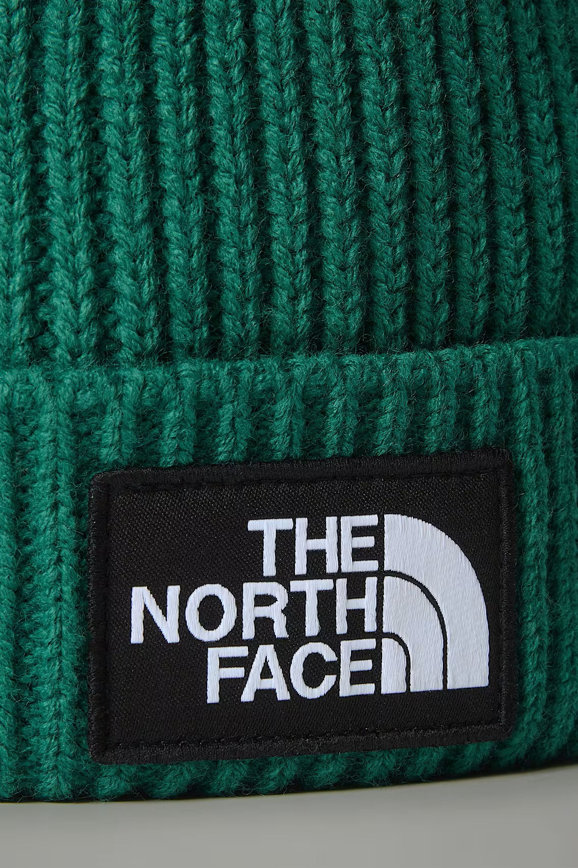 CAPPELLO - THE NORTH FACE - LOGO BOX