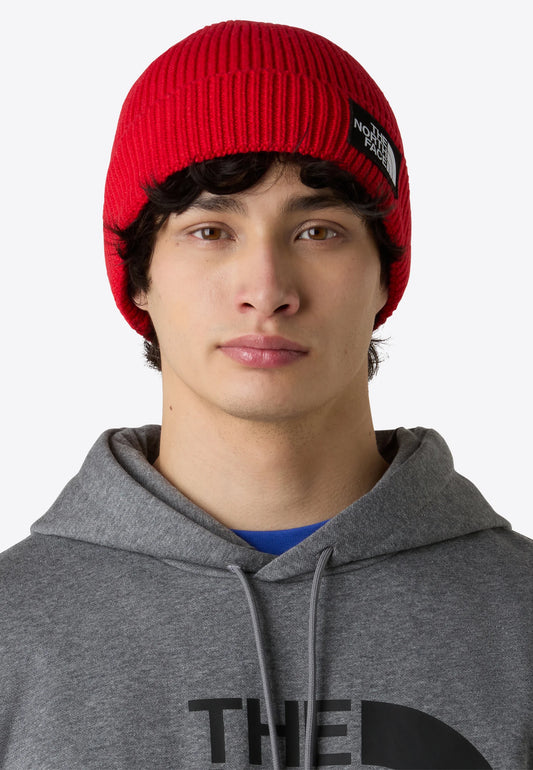 Cappello - The North Face - NF0ACHE logo box